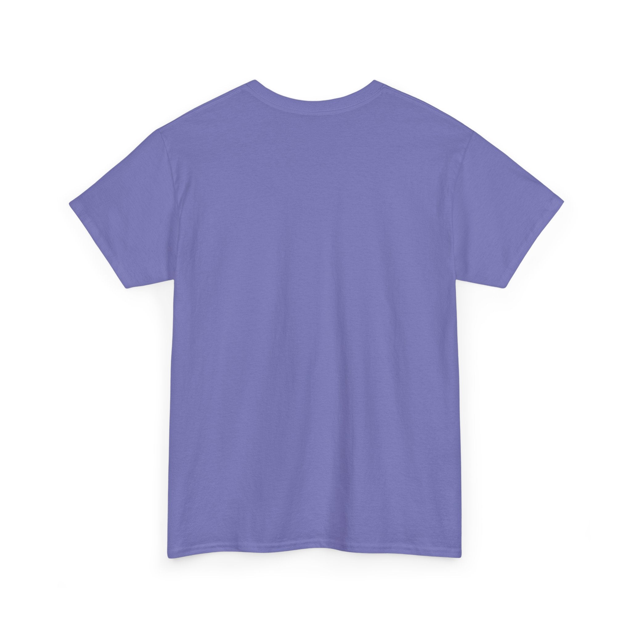 Best Mom's Promotion Tee, Gift for New Nana, Mother's Day T-Shirt, Celebration Shirt, Family Reunion Wear